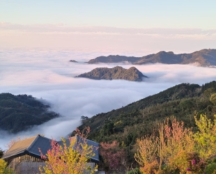 大好大民宿